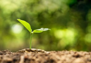 Umweltmanagement fuer die Zukunft